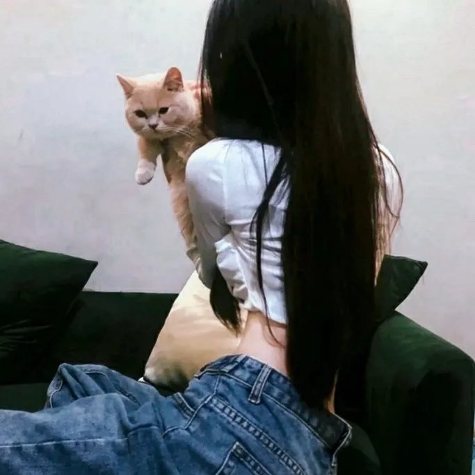 红楼劫